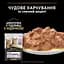 Набір вологий корм для кошенят Purina Pro Plan Kitten Healthy Start шматочки у підливці з індичкою 850 г (10 шт. х 85 г) - мініатюра 6