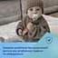 Ланцюжок до пустушки Canpol babies Mountains зелений (51/034_gre) - мініатюра 7