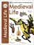 Eyewitness Workbooks. Medieval Life - мініатюра 1
