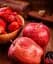 Саджанець Agro-Market Яблуня Ред Чіф (зимовий сорт, пізній термін дозрівання) 1 шт. в упаковці (25685) - мініатюра 1