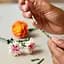 Уценка. Конструктор LEGO Botanicals Милый розовый букет цветов 749 деталей (10342) - миниатюра 7