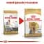 Сухой корм для взрослых собак породы Йоркширский Терьер Royal Canin Yorkshire Terrier Adult, 3 кг (3051030) - миниатюра 2