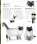 The Cat Encyclopedia - мініатюра 19
