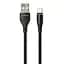 Дата кабель USB 2.0 AM to Type-C 1.0m cylindric nylon back Vinga (VCPDCTCCANB1BK) - мініатюра 2