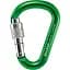 Карабін Salewa HMS Screw G2 Medium Green (1054-013.003.1318) - мініатюра 1