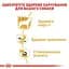 Влажный корм Royal Canin Chihuahua Adult для собак породы Чихуахуа 1,02 кг (12 шт. х 85 г) - миниатюра 5