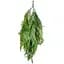 Штучна гілка Engard Persian fern 65 cм (AV-01) - мініатюра 1