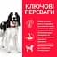Сухий корм Hill’s SP Adult Medium Breed для дорослих собак середніх порід з тунцем і рисом 2.5 кг - мініатюра 3