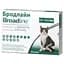 Краплі Broadline Boehringer Ingelheim від бліх та кліщів для котів та кошенят, 2,5-7,5 кг (0,9 мл), 1 піпетка (159884-1) - мініатюра 1