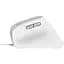 Миша Trust Bayo II Ergonomic USB White (25397) [115601] - мініатюра 5