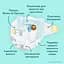Подгузники Pampers Premium Care Размер 1 (2-5 кг) 94 шт. - миниатюра 3