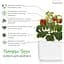Змінний картридж Click & Grow Smart Garden Міні-томати, 3 капсули (7304) - мініатюра 3