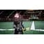 Ключ активации Microsoft Harry Potter: Quidditch Champions для Xbox One/Series S/X - миниатюра 2