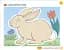 Super Safari 2 Pupil's Book with DVD-ROM - мініатюра 3