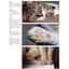 Cats: A Celebration of Our Feline Friends - Фотопулос Джулианна - миниатюра 3