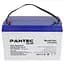 Аккумулятор Pantec 100-12 GEL (12V 100Ah) - миниатюра 2