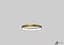 Підвісний світильник MJ-Light RING 38 30W 4000K BGD 11002 - мініатюра 3