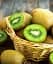 Саженец Agro-Market Киви Монти (сочный сорт с тонким ароматом ананаса) 1 шт. в упаковке (35894) - миниатюра 1