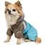 Комбінезон для собак Pet Fashion Сharlie L блакитний - мініатюра 2