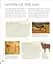 Myths & Legends: An illustrated guide to their origins and meanings - мініатюра 10