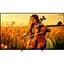 Телевізор Sony BRAVIA 5 XR5 65` LCD 4K (K-65XR55B) EU [146887] - мініатюра 1