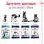 Сухий корм Royal Canin Maxi Adult для дорослих собак великих порід з м'ясом птиці та кукурудзою 15 кг - мініатюра 6