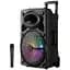 Портативна колонка XPRO GZ-W1012 валіза 30Вт USB SD FM радіо Bluetooth 1 мікрофон ДУ (MER-15677) - мініатюра 1