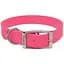 Нашийник для собак Coastal Fashion Waterproof Dog Collar 2,5х61 см біотановий (04912_PNK24) - мініатюра 1