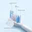 Насадки для зубной щетки MiJia Sonic Electric Toothbrush T301 T302 T501 Heads 2 Pack Standart MBS307 BHR6829C - миниатюра 4