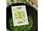 Карти гральні United States Playing Card Company OPC Sweet Peas (ВР_КГОСП) - мініатюра 5