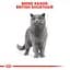 Сухой корм для британских короткошерстных взрослых котов Royal Canin British Shorthair Adult с мясом птицы 10 кг - миниатюра 3