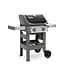 Гриль газовый Weber Spirit II E-210 GBS черный (44010175) - миниатюра 2