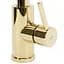 Смеситель для кухни Rea Fresh gold REA-B0669, Золотой - миниатюра 4