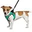 Шлея для собак Bronzedog Sport Vest XXXS 13х11х3 см бірюзова - мініатюра 2