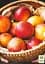 Саджанець Agro-Market Нектарин Рубіновий (лисий персик, літній сорт, середній термін дозрівання) 1 шт. в упаковці (15918) - мініатюра 2