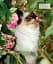 The Cat Encyclopedia - мініатюра 18