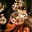 Светодиодная гирлянда штора роса с шариками с наполнением Xmas 8 режимов 200 LED 3x0,7м Теплый белый - миниатюра 7