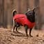 Жилет для собак Pet Fashion E.Vest XS2 красный - миниатюра 3