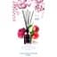 Аромадифузор Avenue des Parfums Fruits & Chrysanthemum 100 мл  - мініатюра 4