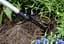 Граблі садові Black+Decker телескопічний 66-101 см - мініатюра 9