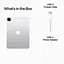 Планшет Apple iPad Pro 11 (2022) Wi-Fi + Cellular 2TB Silver (MP5H3) [74848] - мініатюра 6