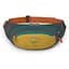 Поясна сумка Osprey Daylite Waist S21 Grey/Yellow (1054-009.3745) - мініатюра 1