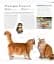 The Cat Encyclopedia - мініатюра 21