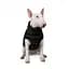 Жилет Pet Fashion Big Boss для собак, розмір 3XL, чорний - мініатюра 3