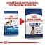 Сухой корм для собак крупных пород старше 5 лет Royal Canin Maxi Adult 5+, 4 кг (3008040) - миниатюра 2