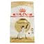 Сухой корм для сиамских кошек Royal Canin Siamese Adult, 400 г (2551004) - миниатюра 1