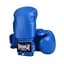 Рукавиці боксерські Power Play PP 3004, Blue - 10 унцій - мініатюра 2