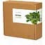 Змінний картридж Click & Grow Smart Garden Пак Чой, 3 капсули (9131) - мініатюра 5
