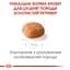 Сухой корм для щенков породы Золотистый Ретривер Royal Canin Golden Retriever Puppy, 12 кг (39791201) - миниатюра 3