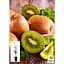 Саджанець Agro-Market Ківі Бруно укорінений у контейнері (саджанець 2 роки) (153307) 1 шт. - мініатюра 3